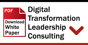 Digital Transformation Leadership Consulting (DTLC)